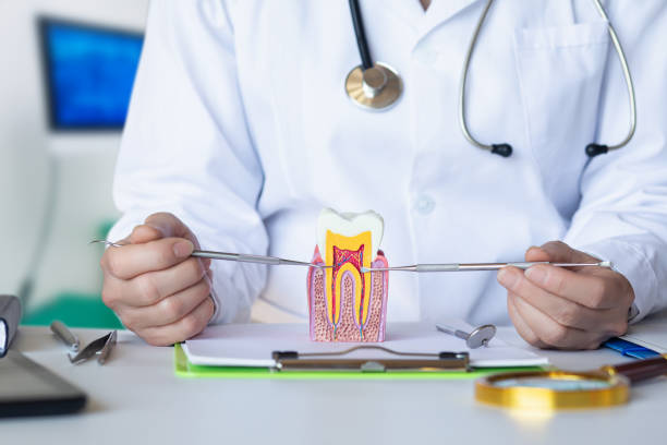Best Emergency Wisdom Teeth Removal in Butler, IN